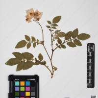 CIP 760428_HHA 6468_03.jpg