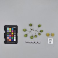 CIP760581_VSOA 46_B.JPG