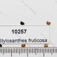 10257.jpg