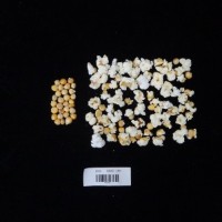 Popped and not popped comparison labeled.jpg