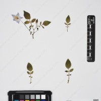 CIP 760257_HHCH 4543_06.jpg