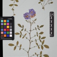 CIP 760428_HHA 6468_04.jpg