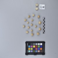 CIP760448_HHA 6571_T.JPG