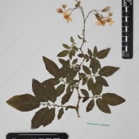 CIP 760305_HHCH 4728_13.jpg