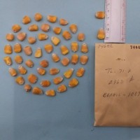 CIMMYTMA 7464 - Reference inventory.jpg