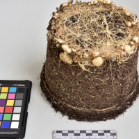 CIP765997_RPSP 320_Tb.JPG