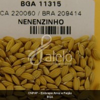 BRA00008650-4.JPG