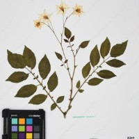 CIP 760257_HHCH 4543_03.jpg