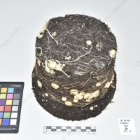 CIP 761102_FB 5079.1_cmm_Tb_2024.jpg