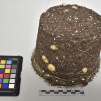 CIP765730_RPSP 045_Tb.JPG