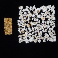 Popped and not popped comparison.jpg