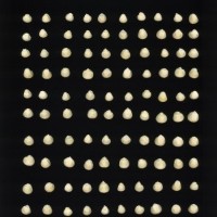 CIMMYTMA 27883 GUAT 1510 TC20U 2903 43 K1880 _compress.jpg