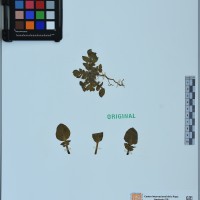 200425_OCHS 15608 CIP 762340.JPG