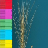 CWI91890_52594_822.jpg