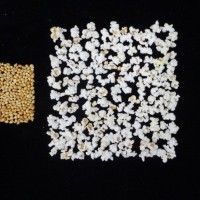 Popped and not popped comparison.jpg