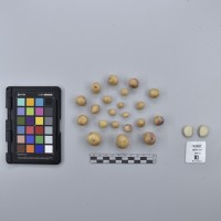 CIP765997_RPSP 320_T.JPG