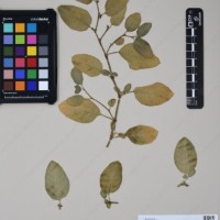 CIP 761364_OCH 11954_02.jpg