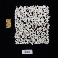 Popped and not popped comparison labeled.jpg