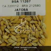 BRA00008602-5.JPG