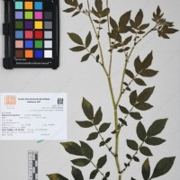 CIP 761450_OCH 12086b_13.jpg