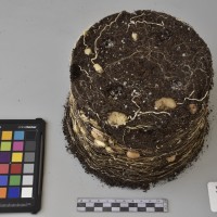 CIP760586_VSOA 55_Tb.JPG