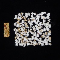 Popped and not popped comparison.jpg