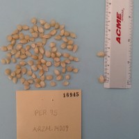 CIMMYTMA 19214 - Reference Inventory.jpg