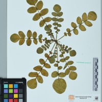 200063_HHCH 4582 CIP 760267.JPG