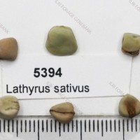 5394.jpg