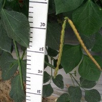 TV03645-p.JPG