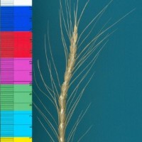 CWI18146_52594_231.jpg