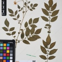 CIP 760236_HHCH 4422_06.jpg