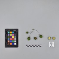 CIP760816_VSLC 141_B.JPG