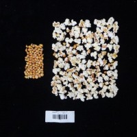 Popped and not popped comparison labeled.jpg