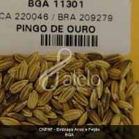BRA00008636-3.JPG