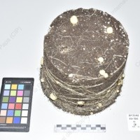 CIP 761410_OCH 12040_rap_Tb_2024.jpg