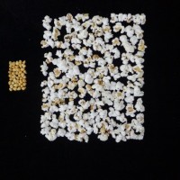 Popped and not popped comparison.jpg