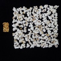 Popped and not popped comparison.jpg