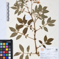 CIP 760424_HHA 6450_01.jpg