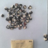 CIMMYTMA 322 - Reference Inventory.jpg