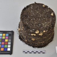 CIP760448_HHA 6571_Tb.JPG