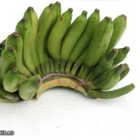 6.7.11 - Fusion of pedicels