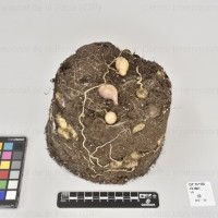 CIP 761100_FB 5064_clv_Tb(i).jpg