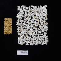 Popped and not popped comparison labeled.jpg