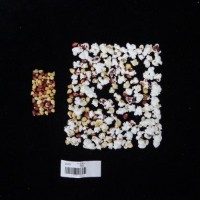 Popped and not popped comparison labeled.jpg