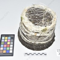 CIP 760511_HAM 88_scr_Tb_2024.jpg