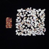 Popped and not popped comparison.jpg