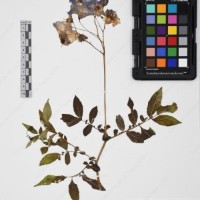 CIP 765691_RPSP 002_10.jpg