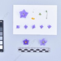 CIP 761700_OCH 13658_rap_F_2024.jpg