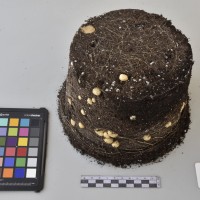 CIP760456_HHA 6604_Tb.JPG